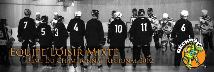 Planète Roller 66 - Roller Inline Hockey - Equipe loisir des Geckos